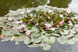 Conhece a Morávia do Sul connosco. Passeio de 6 horas.