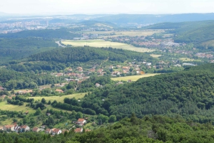 Conhece a Morávia do Sul connosco. Passeio de 6 horas.