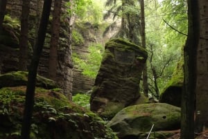 Conhece a Morávia do Sul connosco. Passeio de 6 horas.