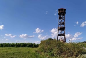 Conhece a Morávia do Sul connosco. Passeio de 6 horas.