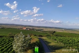 Conhece a Morávia do Sul connosco. Passeio de 6 horas.