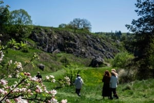 Conhece a Morávia do Sul connosco. Passeio de 6 horas.