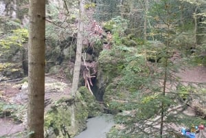 Conhece a Morávia do Sul connosco. Passeio de 6 horas.