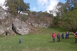 Conhece a Morávia do Sul connosco. Passeio de 6 horas.