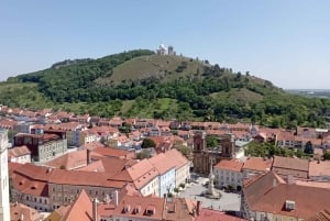 Conhece a Morávia do Sul connosco. Passeio de 6 horas.