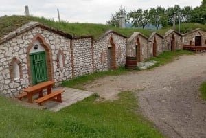 Conhece a Morávia do Sul connosco. Passeio de 6 horas.