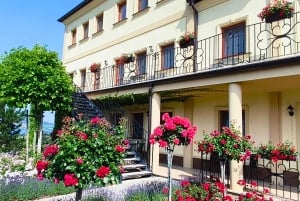 Conhece a Morávia do Sul connosco. Passeio de 6 horas.