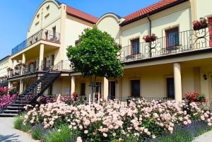 Conhece a Morávia do Sul connosco. Passeio de 6 horas.