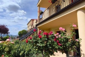 Conhece a Morávia do Sul connosco. Passeio de 6 horas.