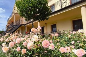 Conhece a Morávia do Sul connosco. Passeio de 6 horas.