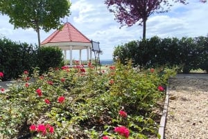 Conhece a Morávia do Sul connosco. Passeio de 6 horas.