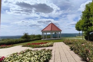 Conhece a Morávia do Sul connosco. Passeio de 6 horas.