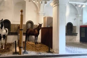 Conhece a Morávia do Sul connosco. Passeio de 6 horas.