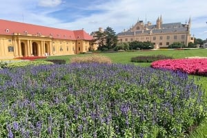 Conhece a Morávia do Sul connosco. Passeio de 6 horas.