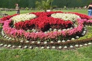 Conhece a Morávia do Sul connosco. Passeio de 6 horas.