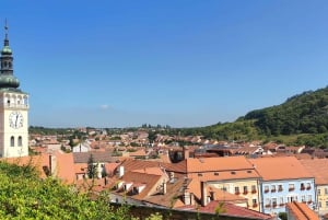 Conhece a Morávia do Sul connosco. Passeio de 6 horas.