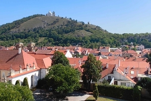 Conhece a Morávia do Sul connosco. Passeio de 6 horas.