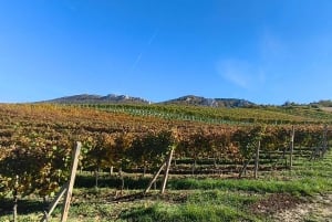 Conhece a Morávia do Sul connosco. Passeio de 6 horas.