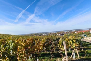 Conhece a Morávia do Sul connosco. Passeio de 6 horas.