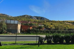 Conhece a Morávia do Sul connosco. Passeio de 6 horas.