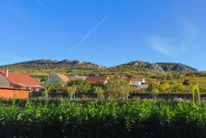 Conhece a Morávia do Sul connosco. Passeio de 6 horas.