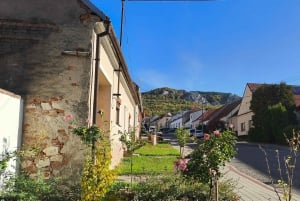 Conhece a Morávia do Sul connosco. Passeio de 6 horas.