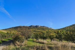 Conhece a Morávia do Sul connosco. Passeio de 6 horas.