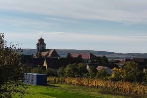 Conhece a Morávia do Sul connosco. Passeio de 6 horas.