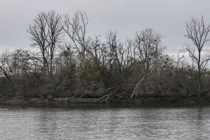 Conhece a Morávia do Sul connosco. Passeio de 6 horas.