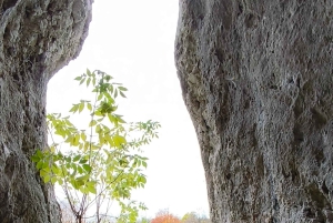 Conhece a Morávia do Sul connosco. Passeio de 6 horas.