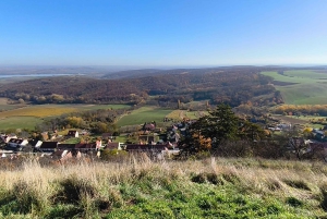 Conhece a Morávia do Sul connosco. Passeio de 6 horas.