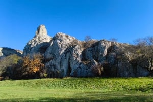 Conhece a Morávia do Sul connosco. Passeio de 6 horas.