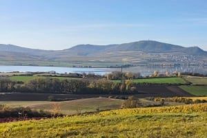 Conhece a Morávia do Sul connosco. Passeio de 6 horas.