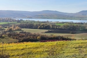 Conhece a Morávia do Sul connosco. Passeio de 6 horas.