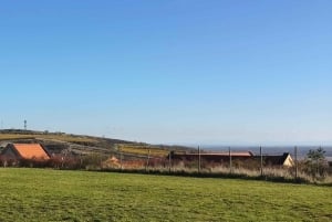 Conhece a Morávia do Sul connosco. Passeio de 6 horas.