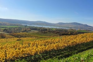 Conhece a Morávia do Sul connosco. Passeio de 6 horas.