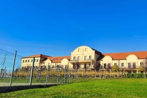 Conhece a Morávia do Sul connosco. Passeio de 6 horas.