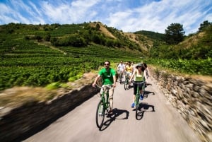 Grape Grazing: Wachau Valley Winery Biking Tour