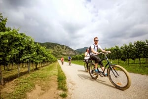 Wijnproeven: fietstocht langs wijnmakerijen in de Wachau