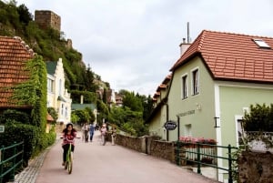 Vinhos de Viena: Passeio de Bicicleta no Vale do Wachau