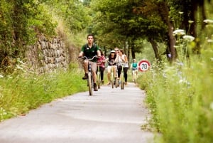 Smaka på druvor: Cykeltur genom Wachaudalen