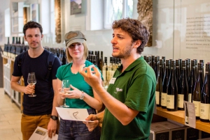 Weintrauben weiden: Wachauer Weinkellerei-Radtour