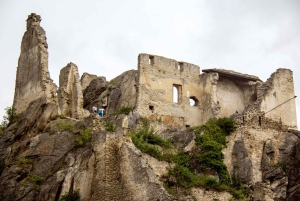 Weintrauben weiden: Wachauer Weinkellerei-Radtour