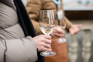 Vienna: Parliament Guided Walking Tour with Wine and Snack