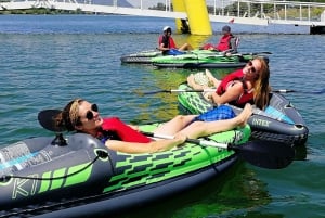 Vienna: Guided Kayaking Tour