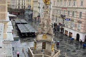 Heart of Vienna: Historic and Cultural Audio-Tour in English