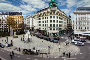 Höjdpunkter i Wiens historiska centrum Privat rundtur