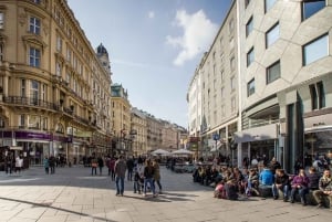 Højdepunkter i det historiske centrum af Wien Privat tur