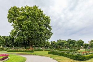 Highlights of Vienna: Private Bike Tour with Licensed Guide