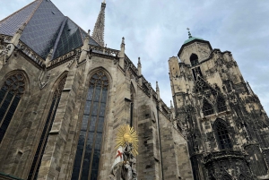 Destaques de Viena com a Catedral, passeio a pé particular